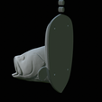 White-grouper-head-trophy-40.png fish head trophy white grouper / Epinephelus aeneus open mouth statue detailed texture for 3d printing