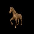 23.jpg American Quarter Horse model 3D print model