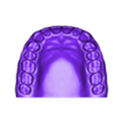 Upper_Jaw.stl Dental Human Teeth model