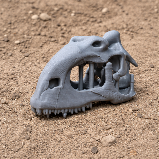 Rajasaurus Skull