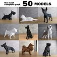 cults-Fotos-Pack-4.jpg PACK LOW POLY DOGS - 50 MODELS - THE MOST COMPLETE - COMMERCIAL LICENSE