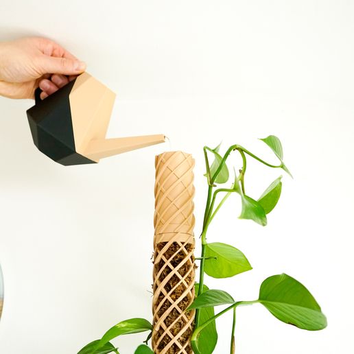 _DSC2338-1.jpg Moss stick climbing aid - Helix Mosspole