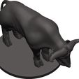 Buffalo-40.jpg Buffalo