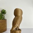 IMG_4647.jpg Owl on tree Figurine and Ornament- No supports - 3mf Included