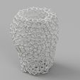 Capture-d’écran-2022-06-26-135208.jpg Voronoi Vase