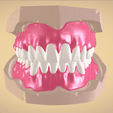 Screenshot_2.png Full Dentures with Many Production Options