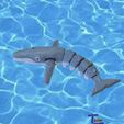 WHALE-1.jpg The Whale
