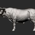 Texas-Longhorn8.jpg Texas Longhorn 3D-Druckmodell
