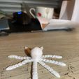 IMG_6365.jpg articulated octopus