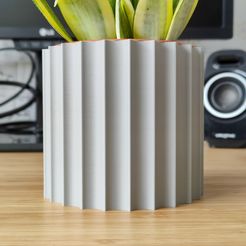 IMG_20231104_213420.jpg Column Pot and Planter for House Plants - Vase mode