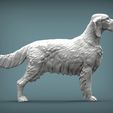 English-Setter6.jpg 3D-Datei English Setter 3D-Druckmodell・Modell zum Herunterladen und 3D-Drucken