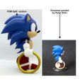 sonic-split-vs-painted1.jpg Sonic Classic - Onepiece