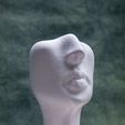 IMG_3136.jpg Necklace Bust (Pre Supported)