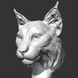 04.png Lynx head AM18 3D print model