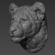 5.jpg Lion cub head