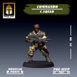 A3.jpg Commando: Command Squad