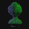 vid0065.png Alien Insectoid Bust