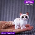 8.jpg Muffin le joli chat articulé flexi toy (#42)