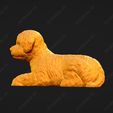 1978-Bichon_Frise_Pose_08.jpg Bichon Frise Dog 3D Print Model Pose 08