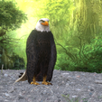 0_00001.png Eagle Eagle - DOWNLOAD Eagle 3d Model - Animated for Blender-Fbx-Unity-Maya-Unreal-C4d-3ds Max - 3D Printing Eagle Eagle BIRD - DINOSAUR - POKÉMON - PREDATOR - SKY - MONSTER