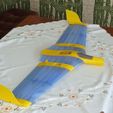 P1090564.jpg Flying Wing Buratinu Midi 1000