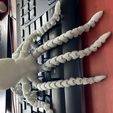 Octopus 2.0