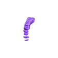 STL_Vertebral_discs.stl 3D Model of Heart in Thorax