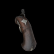 snapshot08.png Old guns - Deringer muzzleloader