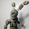 1000020171.jpg Springtrap Five Nights At Freddy's (FNAF) - Figurine articulée
