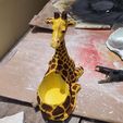 120113235_1216152988743881_5388118126057830574_n.jpg Mold for cement pots in the shape of a giraffe