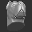 20.jpg Cane Corso dog head for 3D printing