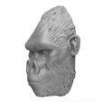 Print-Ready-Gorilla-Face-02.jpg Gorilla Kopf Statue 3D-Druck Modell