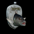 Dentex-head-trophy-5.png fish head trophy Common dentex / dentex dentex open mouth statue detailed texture for 3d printing
