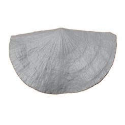 G175a.jpg STL file Ordovician brachiopod 9・3D printable model to download
