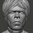 21.jpg Tyrion Lannister Fan Art Print ready model