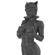 untitled.71.jpg BatGIRL Leather Character Miniature - 3D PRINT