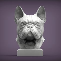 French_Bulldog1.jpg Archivo STL Busto de bulldog francés Modelo de impresión 3D・Idea de impresión 3D para descargar