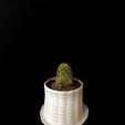 3.jpg Small plant pot (Small Planter)