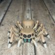 IMG_3029-1.jpg STL file Articulated Jumping Spider _ Print-In-Place Jumping Spider・3D printing design to download