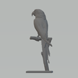 3.png STL-Datei Papageienbaum 3D-Druckmodell・3D-druckbare Vorlage zum herunterladen