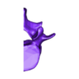 L4_right.stl Lumbar Vertebrae and Sacrum, in easy printable format