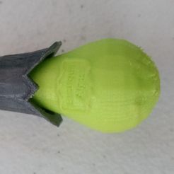 IMG_20170821_153302659.jpg Free STL file Gillyweed Potion (Harry Potter)・3D print model to download