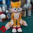 c.jpg Flexi Tails (Sonic) - Print In Place - No Supports
