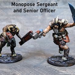 officer-and-sergeant-photo.jpg Beastmen in Space! Monopose Senior Officer and Sergeant