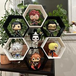 IMG_8064.jpg STL-Datei Wabenförmiges Funko-Display mit einrastenden Verbindern・3D-druckbare Vorlage zum herunterladen