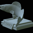 zander-open-mouth-tocenej-37.png fish zander / pikeperch / Sander lucioperca trophy statue detailed texture for 3d printing