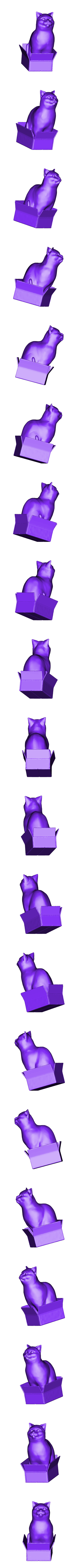 loubie_cat_in_box_v8_100mm.stl STL-Datei Schrodinky! Britisch-Kurzhaar-Katze in einer Box sitzend (einfache Extrusionsversion) kostenlos・3D-druckbares Modell zum herunterladen, loubie