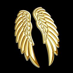 Angel-Wings.jpg Angel Wings