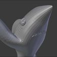 asdad.jpg Left Shark - Facial Detail / Armature