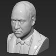 14.jpg Prince William bust ready for full color 3D printing